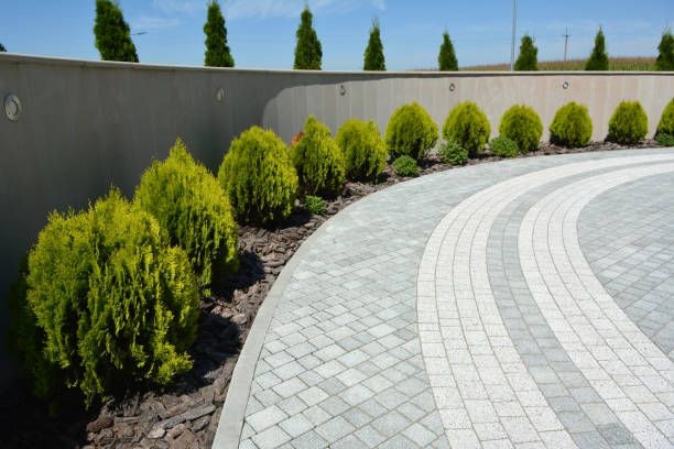Best Decorative Driveway Pavers  in Aberdeen, MD